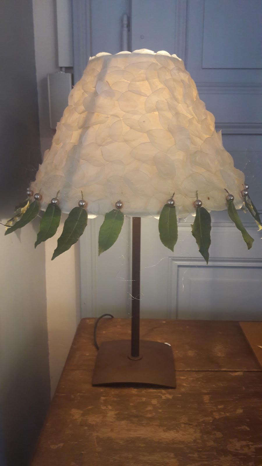 Installation végétale en eucalyptus — Kanouche, Martigny